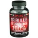 TRIBULON TERRESTRIS 100%
