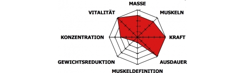 Testosteron Booster